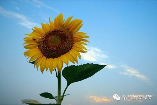 正能量的三句話，就短短三句話